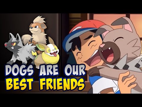 Dogs are our BEST FRIENDS